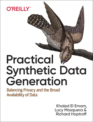Praktické generování syntetických dat: Vyvážení ochrany soukromí a široké dostupnosti dat - Practical Synthetic Data Generation: Balancing Privacy and the Broad Availability of Data