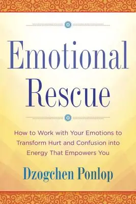 Emoční záchrana: Jak pracovat se svými emocemi a přeměnit bolest a zmatek v energii, která vás posílí - Emotional Rescue: How to Work with Your Emotions to Transform Hurt and Confusion Into Energy That Empowers You