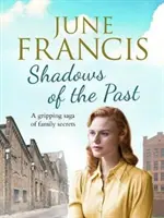 Stíny minulosti - Strhující sága o rodinných tajemstvích - Shadows of the Past - A gripping saga of family secrets