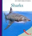 Žraloci - Sharks