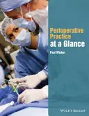Perioperační praxe v kostce - Perioperative Practice at a Glance