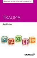 Rodičovství s dítětem, které prožilo trauma - Parenting a Child Who Has Experienced Trauma