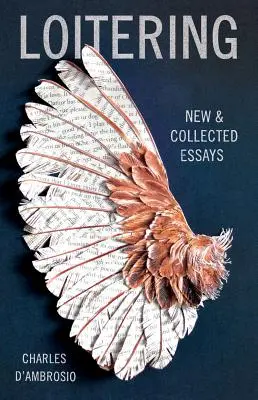 Poflakování: Nové a sebrané eseje - Loitering: New and Collected Essays