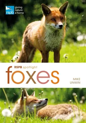 Rspb Spotlight: Lišky - Rspb Spotlight: Foxes