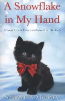 Sněhová vločka v mé ruce - Snowflake In My Hand