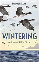 Zimování: Sezóna s husami - Wintering: A Season with Geese