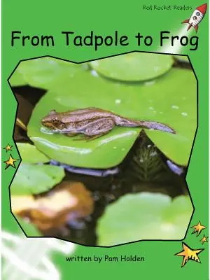 Red Rocket Readers - Early Level 4 Non-Fiction Set C: From Tadpole to Frog Big Book Edition (Velká kniha) - Red Rocket Readers - Early Level 4 Non-Fiction Set C: From Tadpole to Frog Big Book Edition