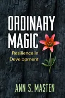 Obyčejná magie: Odolnost ve vývoji - Ordinary Magic: Resilience in Development