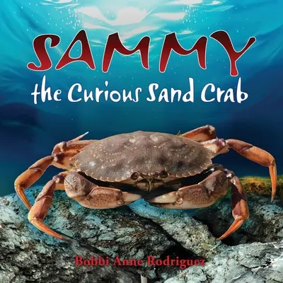 Zvědavý krab Sammy - Sammy the Curious Sand Crab