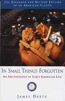 V zapomenutých maličkostech: An Archaeology of Early American Life (Archeologie raného amerického života) - In Small Things Forgotten: An Archaeology of Early American Life