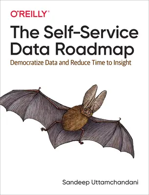 Plán samoobslužných dat: Demokratizace dat a zkrácení doby k získání informací - The Self-Service Data Roadmap: Democratize Data and Reduce Time to Insight
