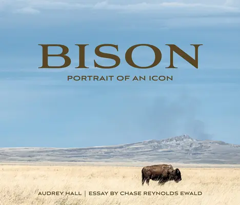 Zubři: Portrét ikony - Bison: Portrait of an Icon