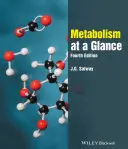 Metabolismus v kostce - Metabolism at a Glance