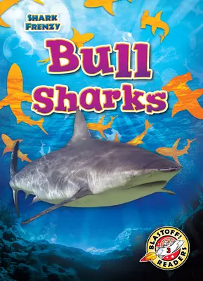 Býčí žraloci - Bull Sharks