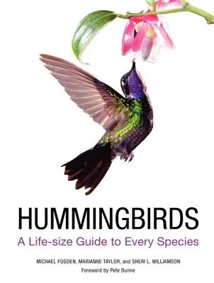 Kolibříci: Průvodce každým druhem v životní velikosti - Hummingbirds: A Life-Size Guide to Every Species