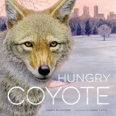 Hladový kojot - Hungry Coyote