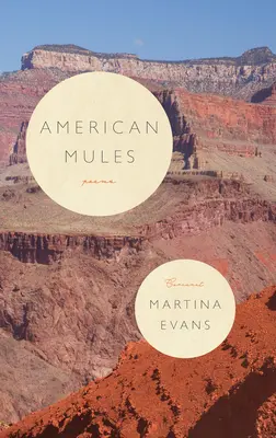 Americké muly - American Mules