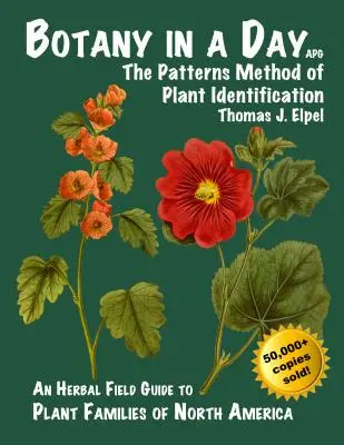 Botanika za den: Vzorníková metoda určování rostlin - Botany in a Day: The Patterns Method of Plant Identification