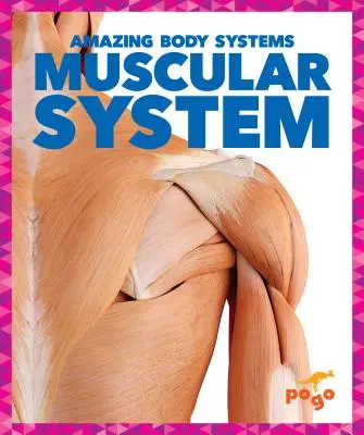 Svalový systém - Muscular System