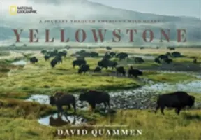 Yellowstone: Cesta divokým srdcem Ameriky / Yellowstone: A Journey Through America's Wild Heart - Yellowstone: A Journey Through America's Wild Heart