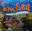 V moři - In the Sea