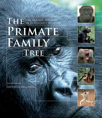 Rodokmen primátů: Úžasná rozmanitost našich nejbližších příbuzných - The Primate Family Tree: The Amazing Diversity of Our Closest Relatives