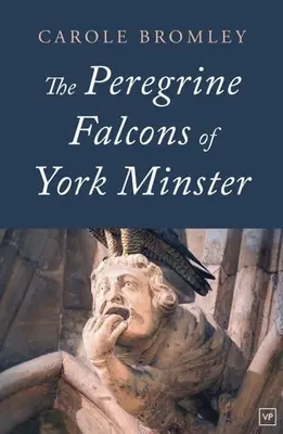 Sokoli stěhovaví z York Minster - Peregrine Falcons of York Minster