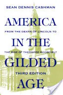 Amerika v pozlaceném věku: třetí vydání - America in the Gilded Age: Third Edition
