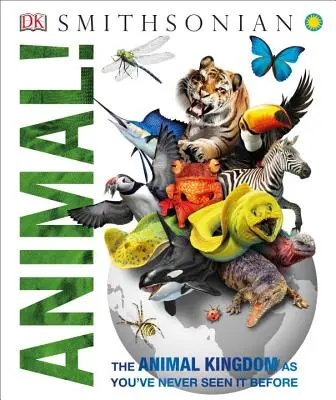 Zvířátka! Zvířecí říše, jak jste ji ještě neviděli - Animal!: The Animal Kingdom as You've Never Seen It Before