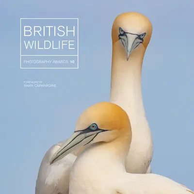 Britské ceny za fotografii divoké přírody 10 - British Wildlife Photography Awards 10