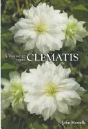 Výběr vašeho plaménku - Choosing Your Clematis