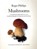 Houby - Mushrooms