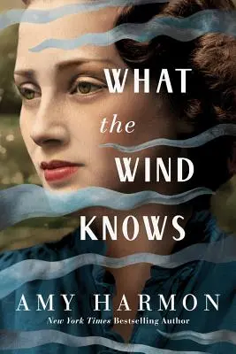 Co ví vítr - What the Wind Knows