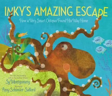 Inkyho úžasný útěk: Jak velmi chytrá chobotnice našla cestu domů - Inky's Amazing Escape: How a Very Smart Octopus Found His Way Home