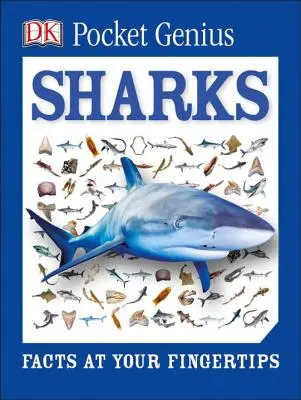 Kapesní génius: Žraloci: Fakta na dosah ruky - Pocket Genius: Sharks: Facts at Your Fingertips