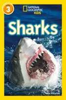 Žraloci - úroveň 3 - Sharks - Level 3