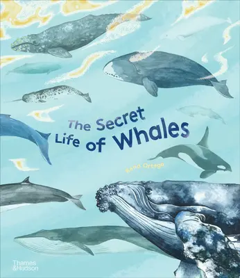Tajný život velryb - The Secret Life of Whales