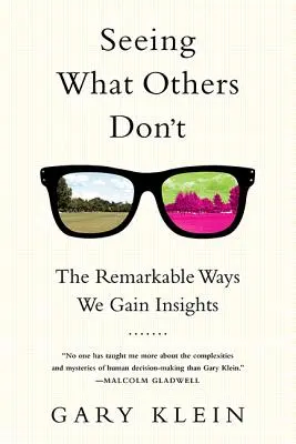 Vidět to, co ostatní nevidí: pozoruhodné způsoby, jak získáváme vhled do situace - Seeing What Others Don't: The Remarkable Ways We Gain Insights