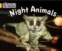 Noční zvířata - kapela 03/žlutá - Night Animals - Band 03/Yellow
