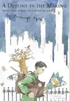 Osud v procesu tvorby: Od Wall Street po Unicef v Africe - A Destiny in the Making: From Wall Street to Unicef in Africa