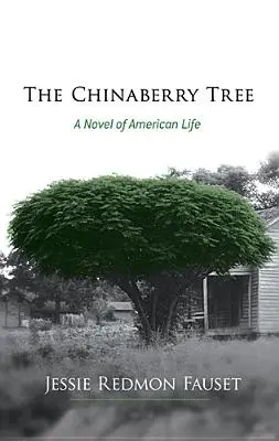 Strom čínských třešní: Román ze života Američanů - The Chinaberry Tree: A Novel of American Life