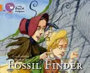 Hledač zkamenělin - Fossil Finder