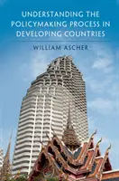 Pochopení procesu tvorby politik v rozvojových zemích - Understanding the Policymaking Process in Developing Countries