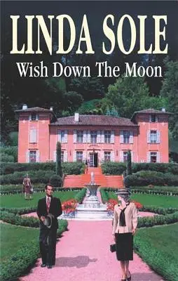 Přání k zemi Měsíc - Wish Down the Moon