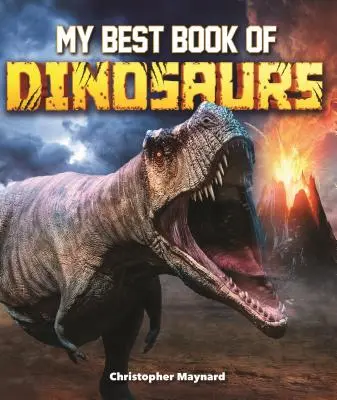 Moje nejlepší kniha o dinosaurech - My Best Book of Dinosaurs