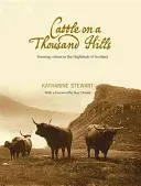 Dobytek na tisíci kopcích - Cattle on a Thousand Hills