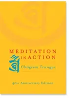 Meditace v akci - Meditation in Action