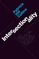 Intersekcionalita jako kritická sociální teorie - Intersectionality as Critical Social Theory