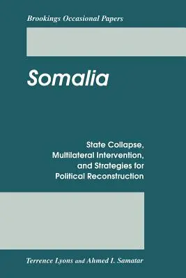 Somálsko: Kolaps státu, multilaterální intervence a strategie politické obnovy - Somalia: State Collapse, Multilateral Intervention, and Strategies for Political Reconstruction