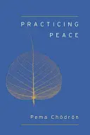 Praktikování míru (Shambhala Pocket Classic) - Practicing Peace (Shambhala Pocket Classic)